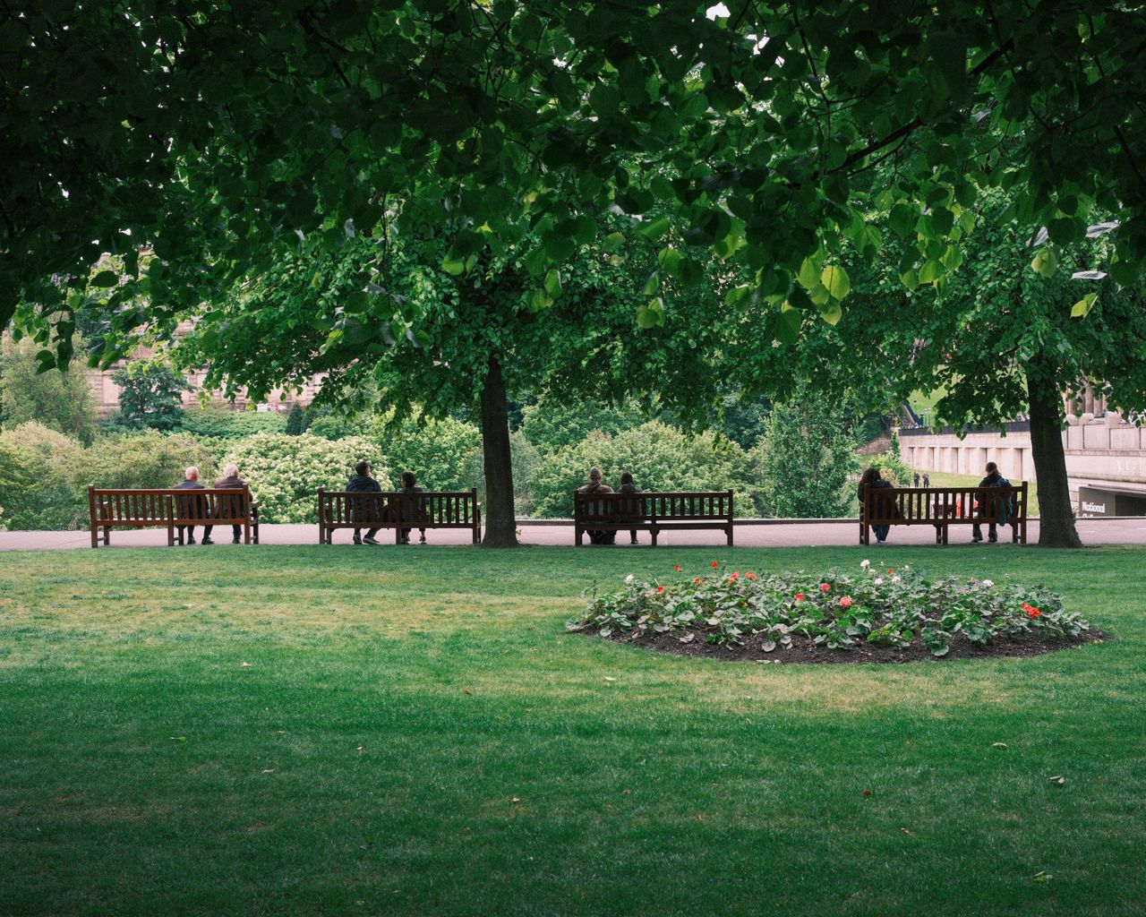 Peaceful park scene featuring benches, lush trees, and vibrant flower beds.